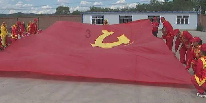 中国小动物保护协会直播分享两只被救助的猫咪状态
